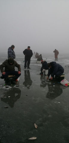 Соревнования по зимнему рыболовству - ГБПОУ РО «МАПТ»